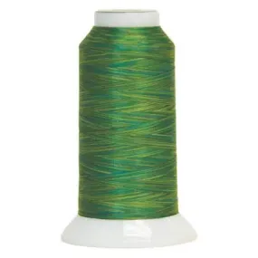 5007 Wales Fantastico Variegated Polyester Thread