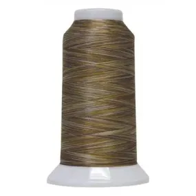 5134 Dinosaur Tracks Fantastico Variegated Polyester Thread