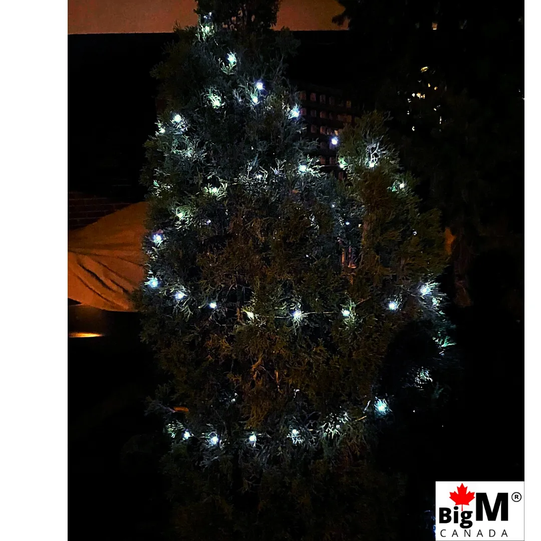 BigM Cool White LED Solar Copper String Lights for Outdoor Decoration