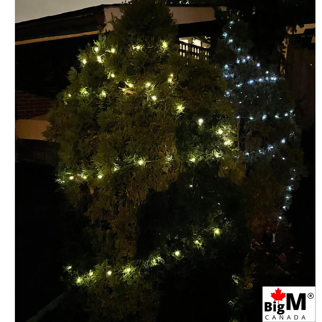 BigM Cool White LED Solar Copper String Lights for Outdoor Decoration