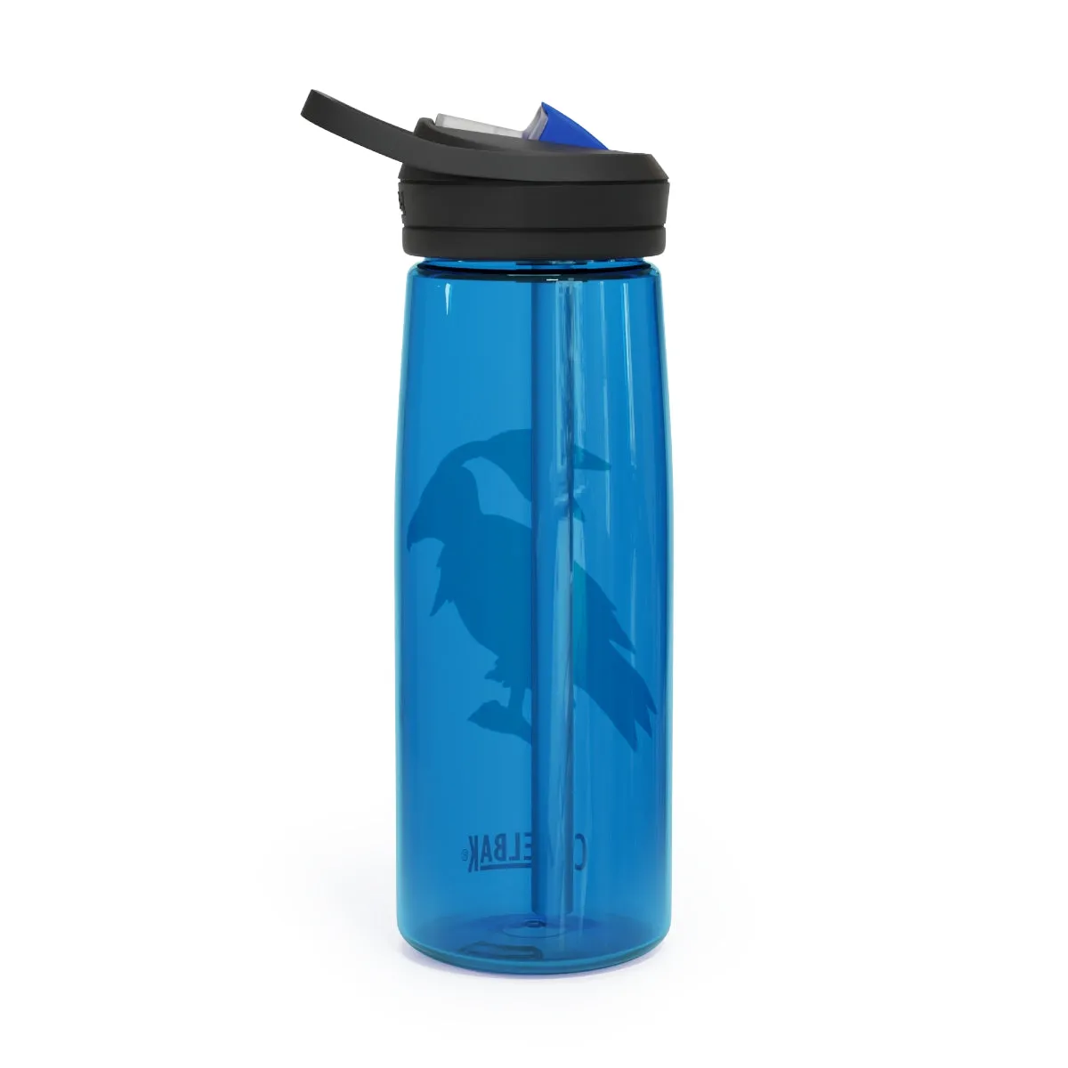 Birdam CamelBak Eddy®  Water Bottle, 20oz / 25oz