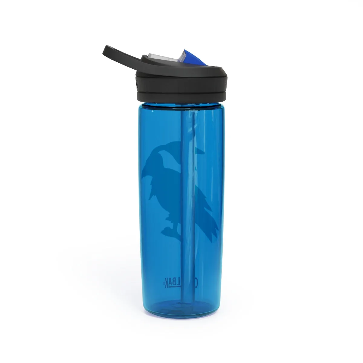 Birdam CamelBak Eddy®  Water Bottle, 20oz / 25oz