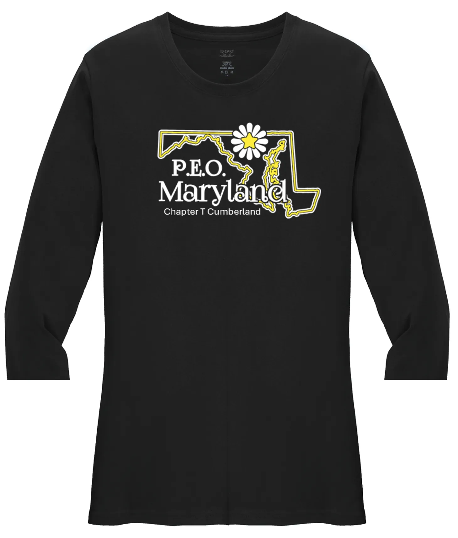 Chapter T  Maryland Cotton Tee ...  VNeck or Crew Neck . . . . . . . . . Ladies Fashion Fit