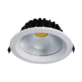 Downlighter LED 30 Watts