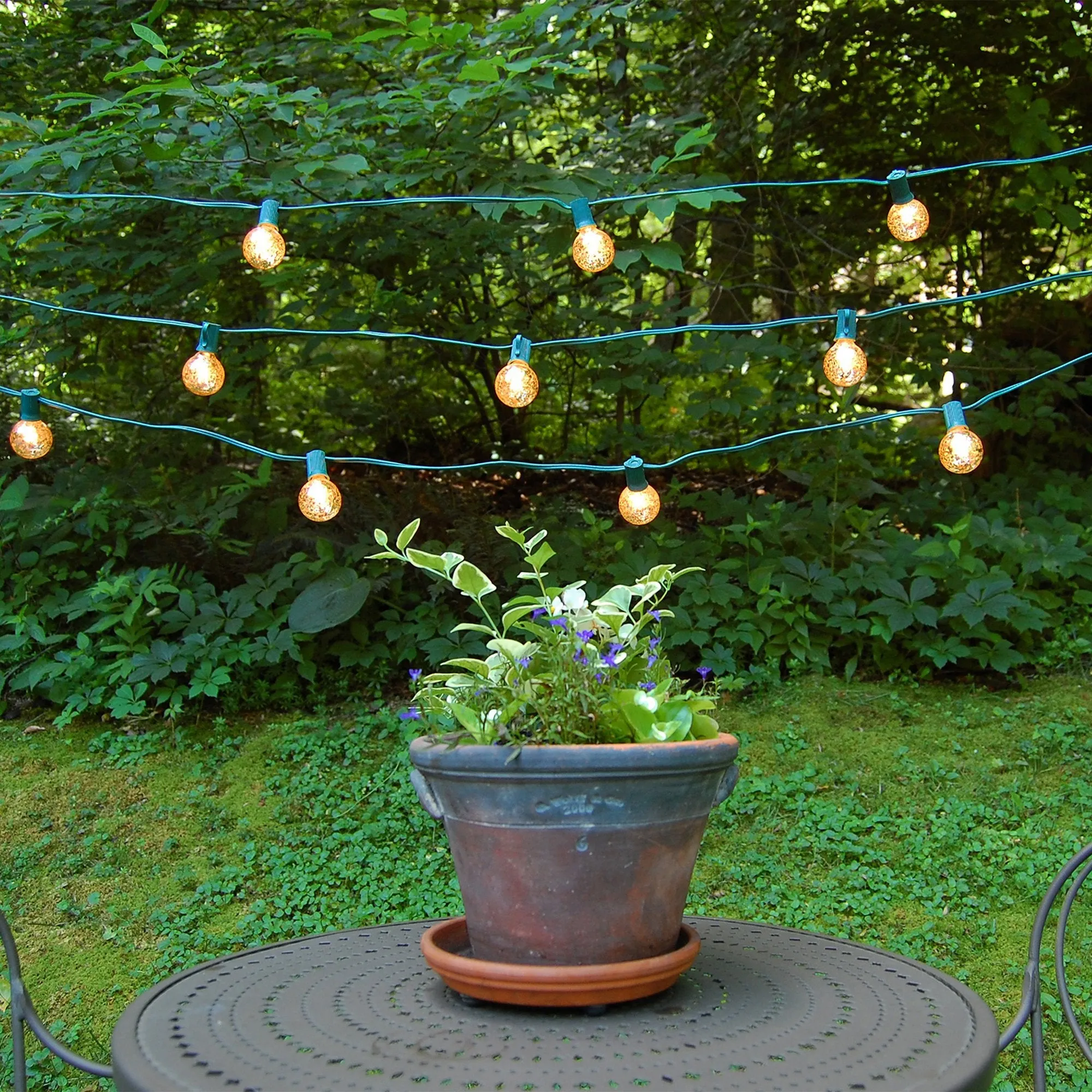 Electric String Lights with 25 Gold Mercury Globe Bulbs