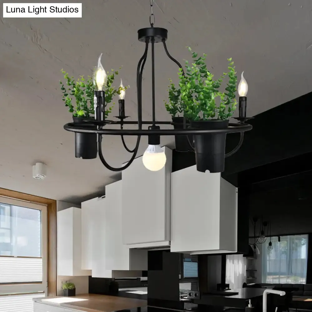 Industrial Metal Chandelier Light - 4/7 Bulbs LED Hanging Lamp in Black with Plant - Perfect for Restaurants