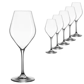 Lehmann Glass Absolus Champagne / Sparkling Wine Glass 320ml - Set of 6