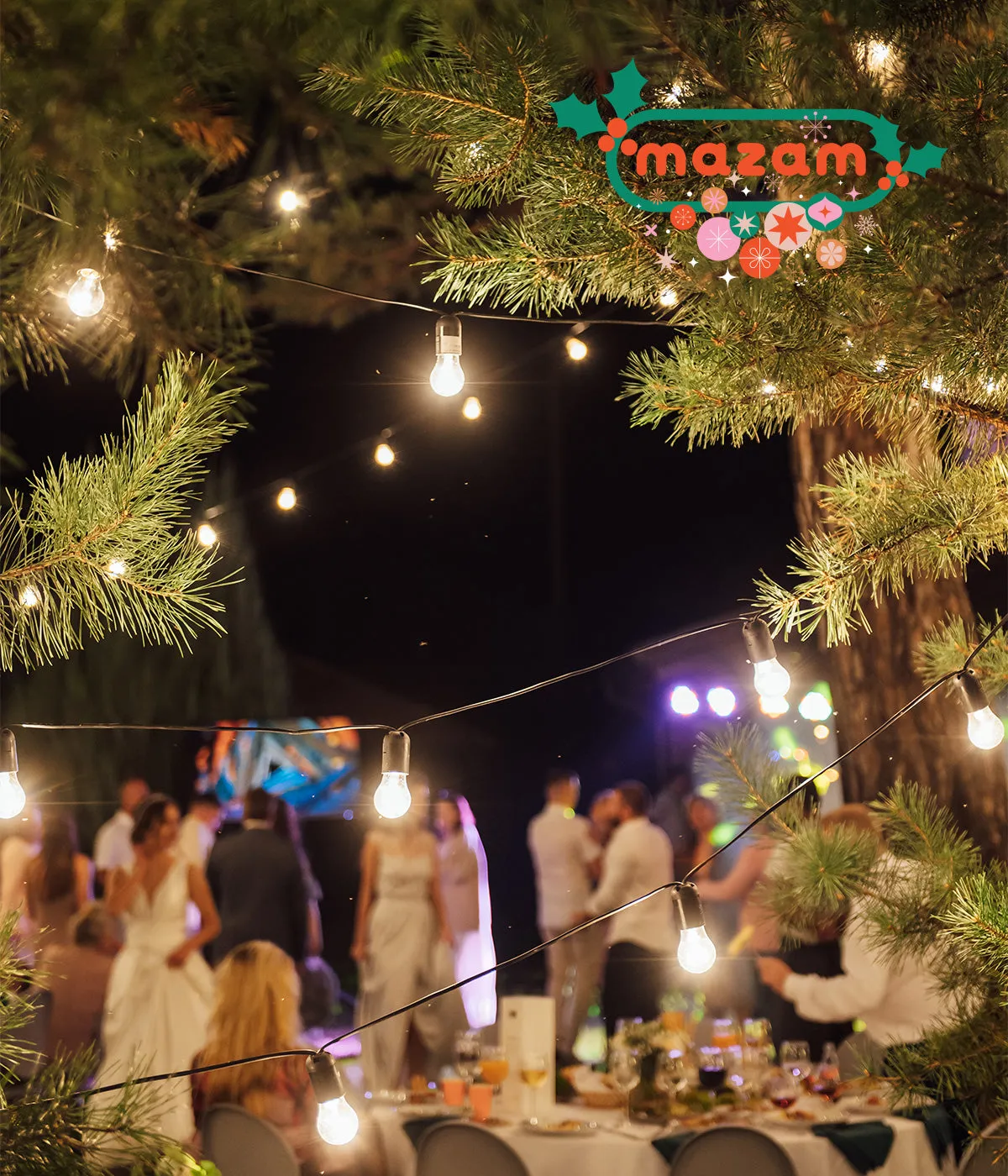 Mazam 60M Festoon String Lights LED Christmas Waterproof Wedding Party Outdoor