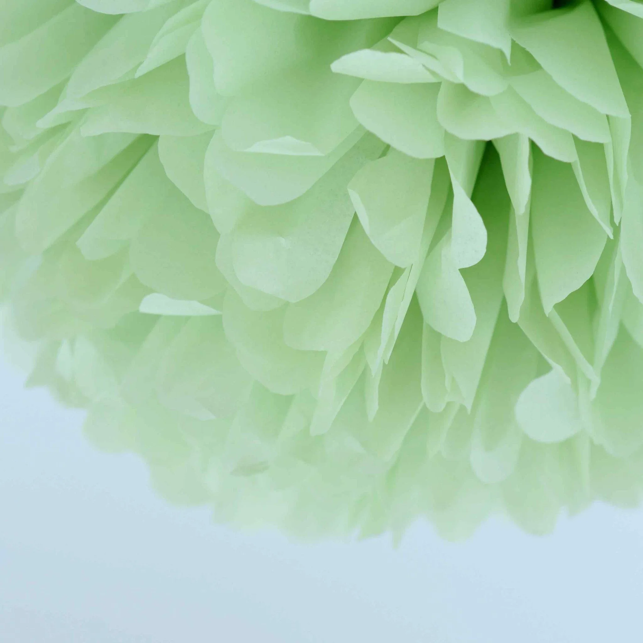 Mini 15cm Light green green tissue paper pom pom