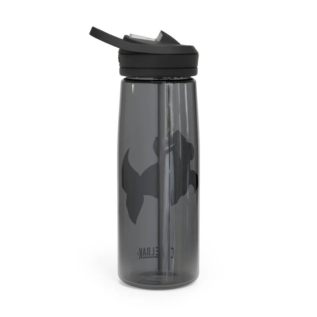 Plumo CamelBak Eddy®  Water Bottle, 20oz / 25oz