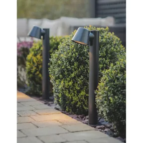 Regent Mast Path Light in Carbon