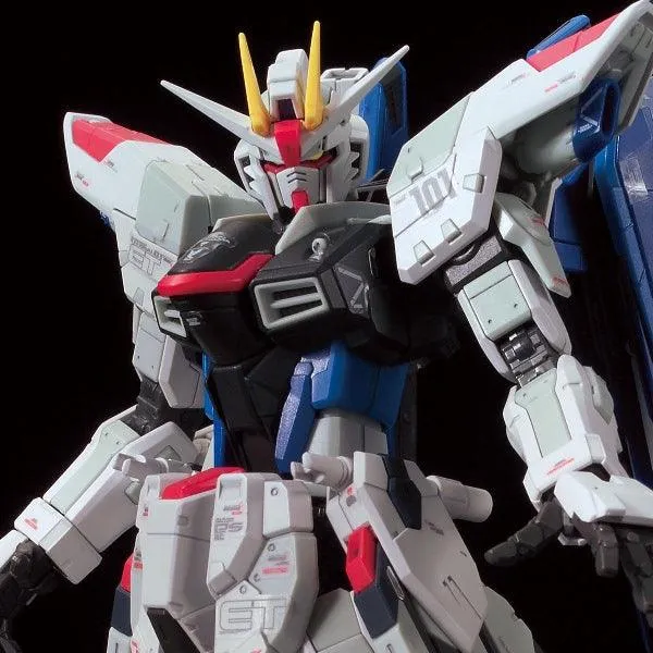 RG 1/144 The Gundam Base Limited ZGMF-10A Freedom Gundam Ver.GCP