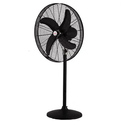 Royal Deluxe Pedestal Fans