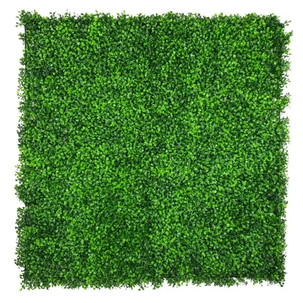 Sample Mixed Boxwood Artificial Vertical Garden (25cm x 25cm)