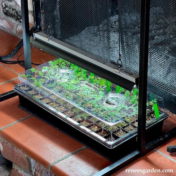 Sunpack Grow Light System